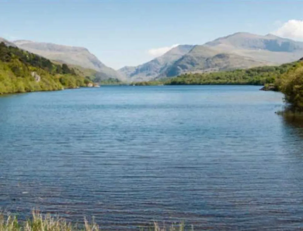 Llys Derwen Caravan &amp; Camping