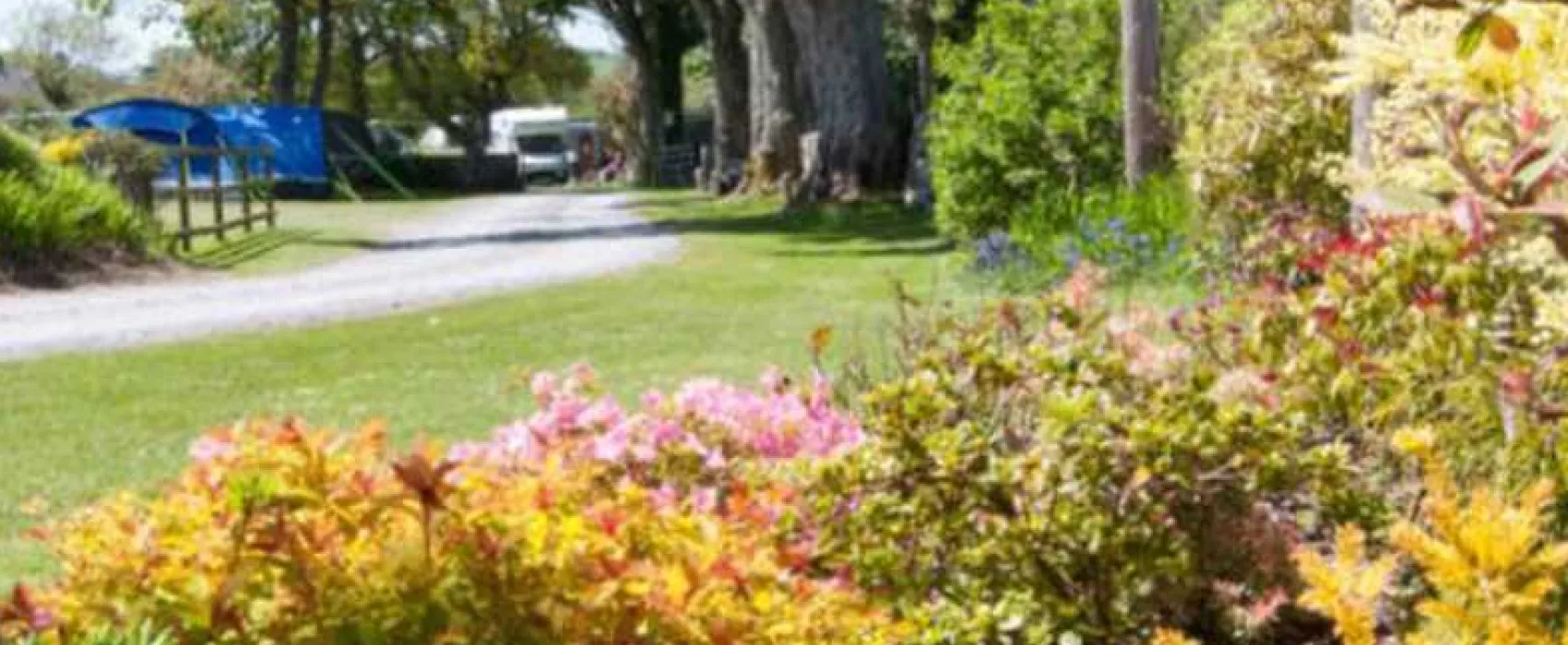 Llys Derwen Caravan &amp; Camping