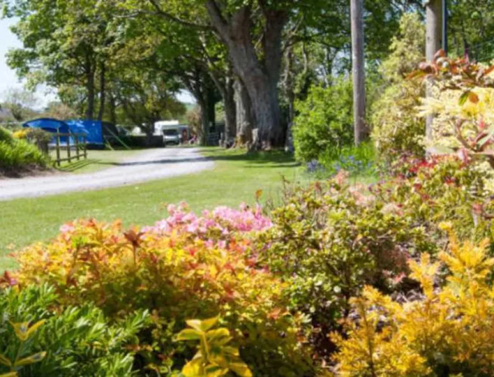 Llys Derwen Caravan &amp; Camping