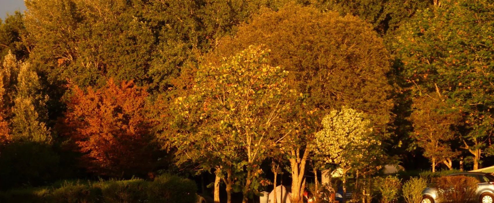 Departemental L'Epine Aux Moines