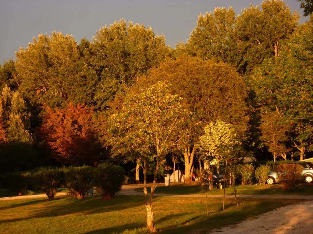 Departemental L'Epine Aux Moines