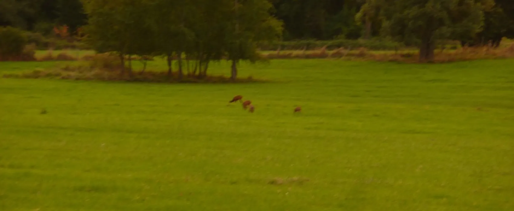 Departemental L'Epine Aux Moines