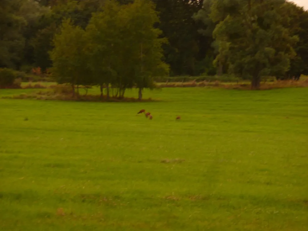 Departemental L'Epine Aux Moines
