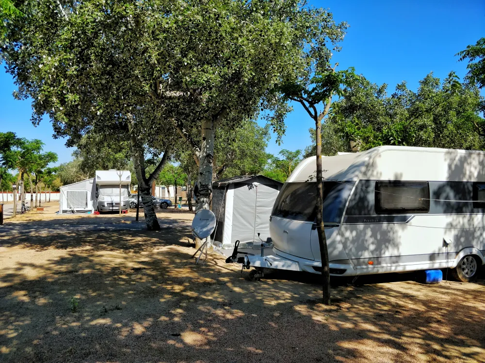 Camping Joncar Mar