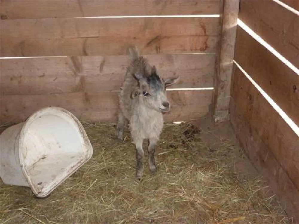 Camping Le Sainte Marie