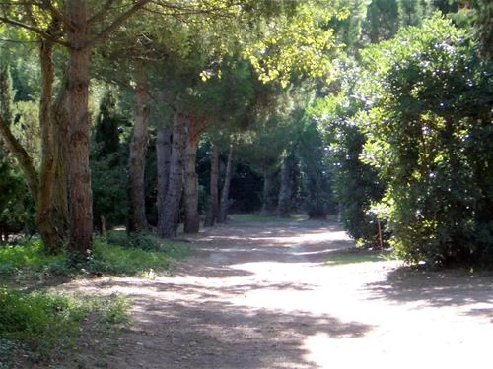 Camping Le Sainte Marie