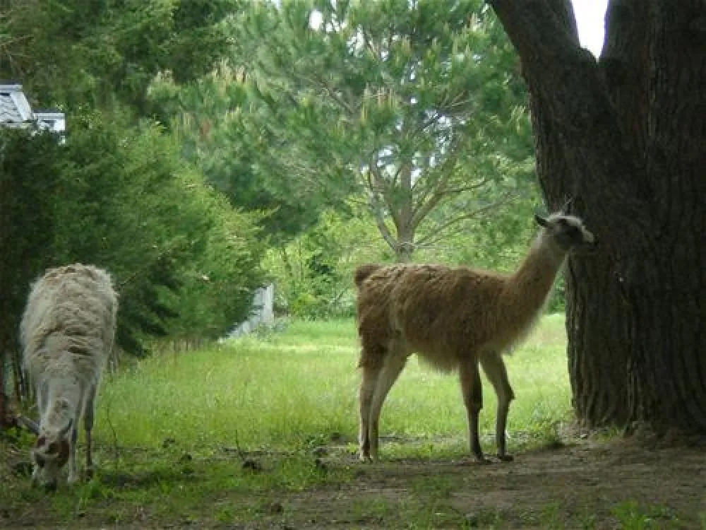 Camping Le Sainte Marie