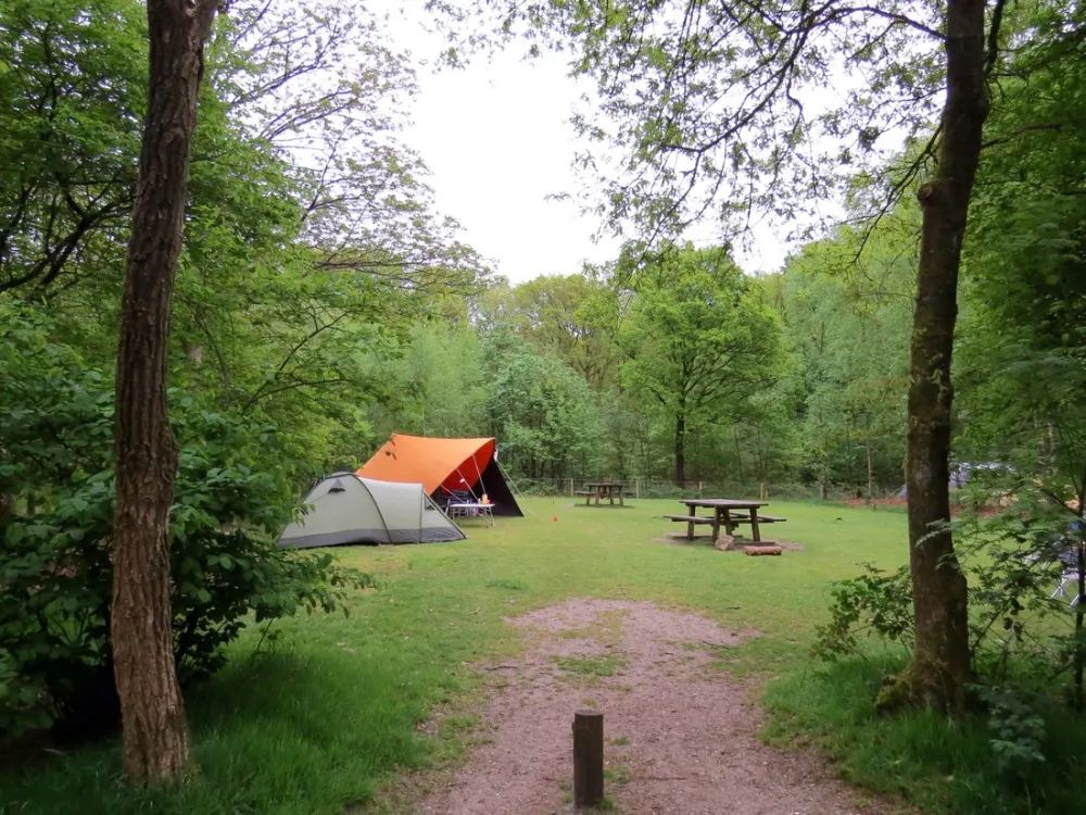 Natuurkampeerterrein Drie