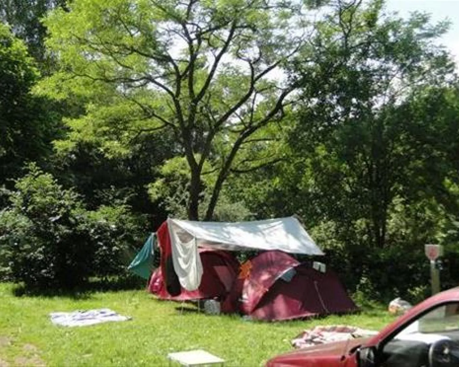 Naturcamping Vulkaneifel in Germany - Spottocamp - Spottocamp