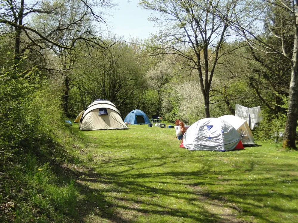 Naturcamping Vulkaneifel