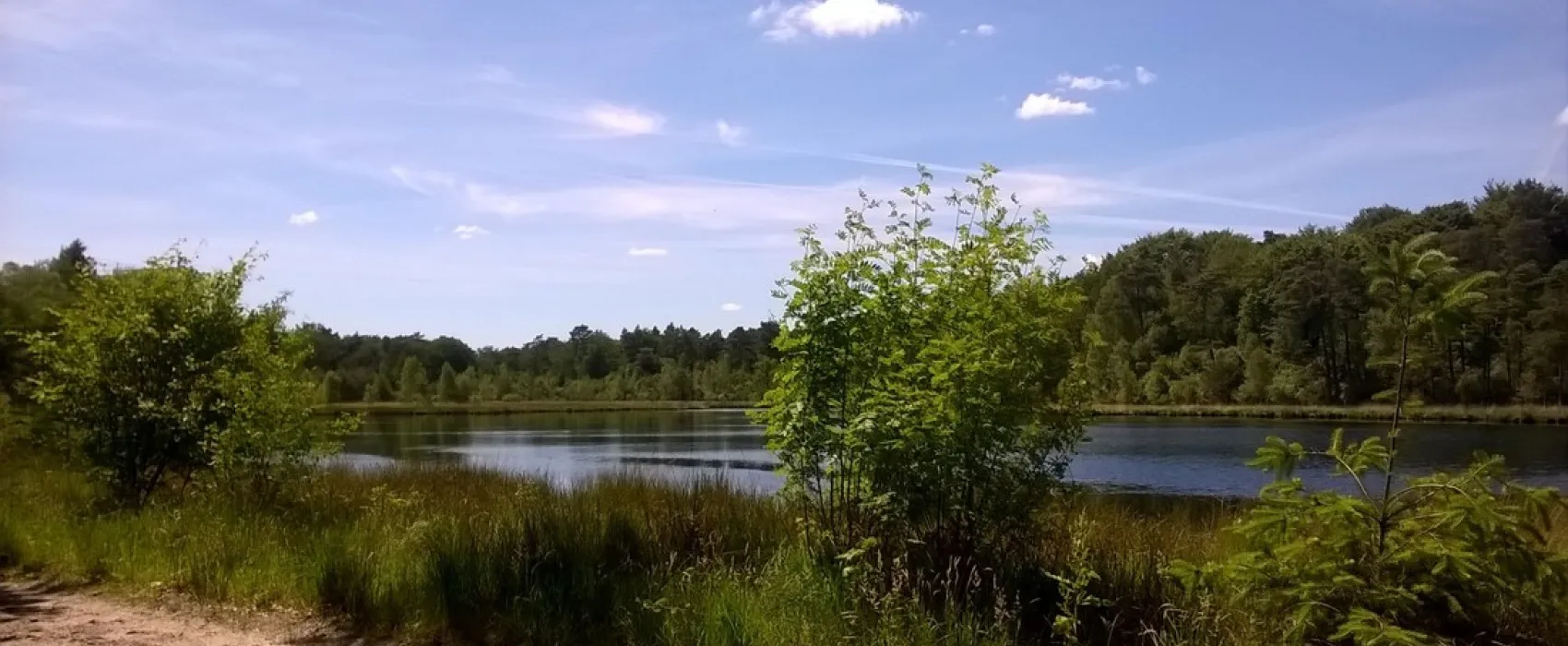 Camping Camping Midzomer