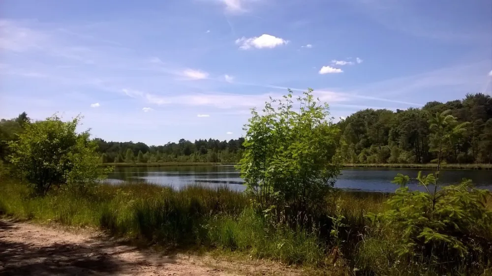 Camping Camping Midzomer