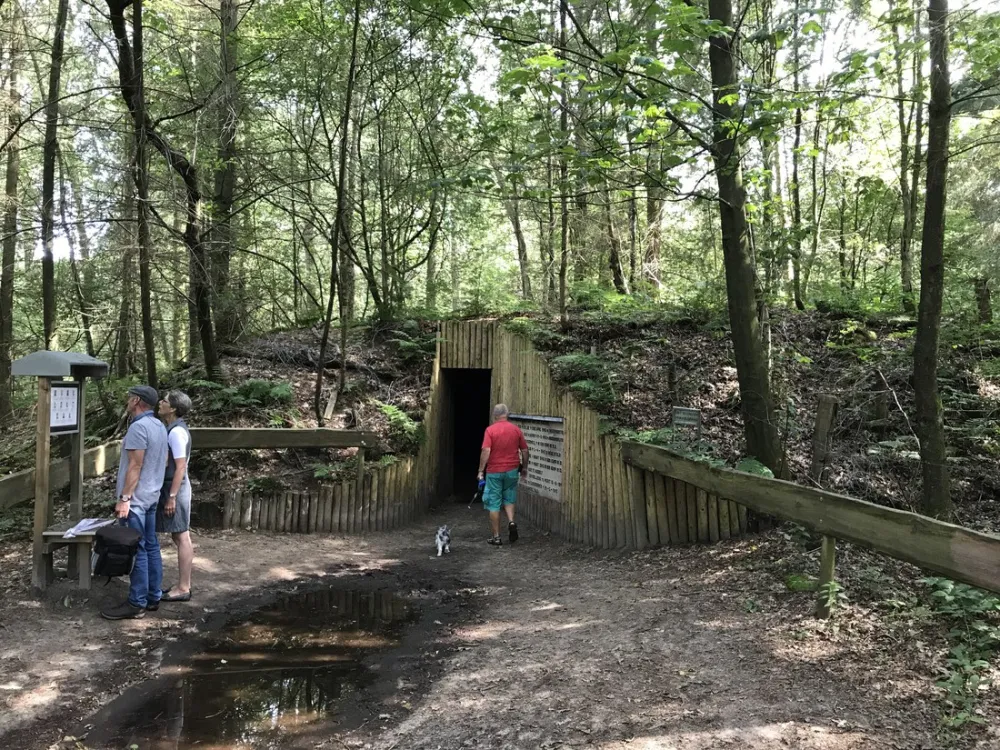 Camping Camping Midzomer