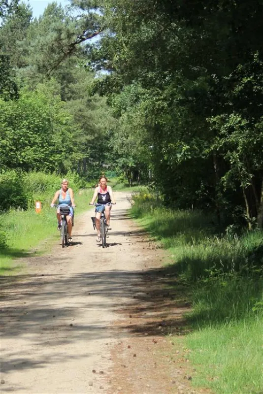 Camping De Lilse Bergen