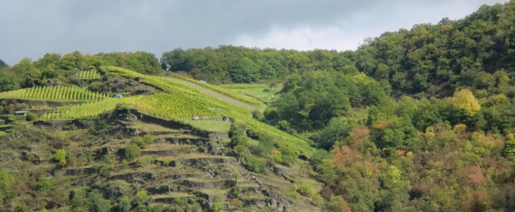 Camping Loreleyblick