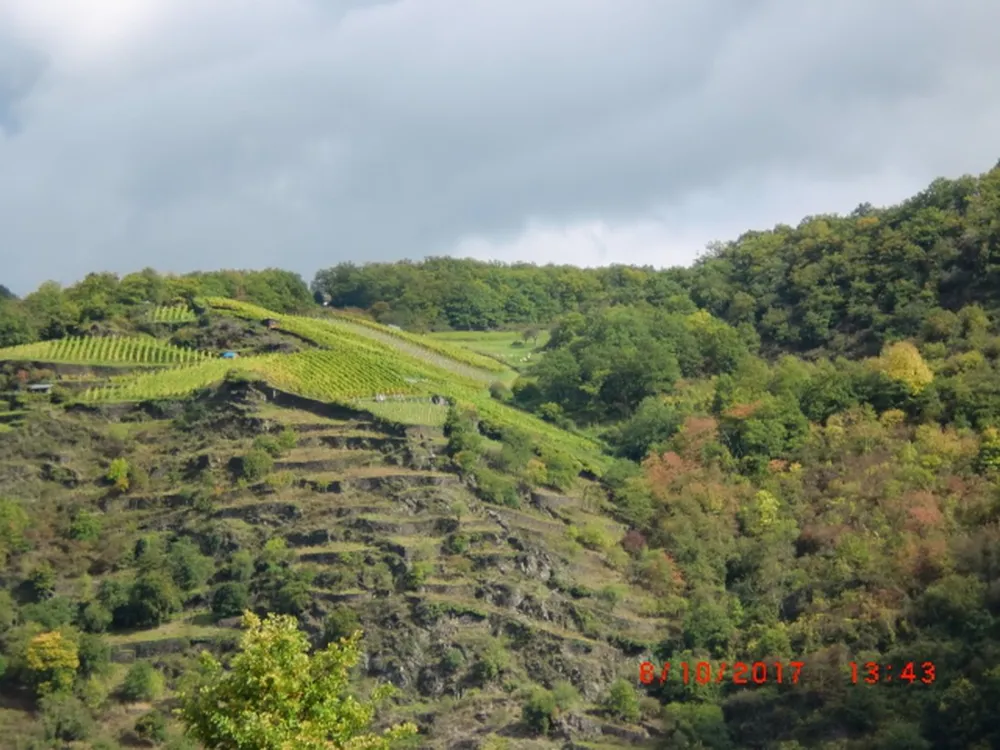 Camping Loreleyblick