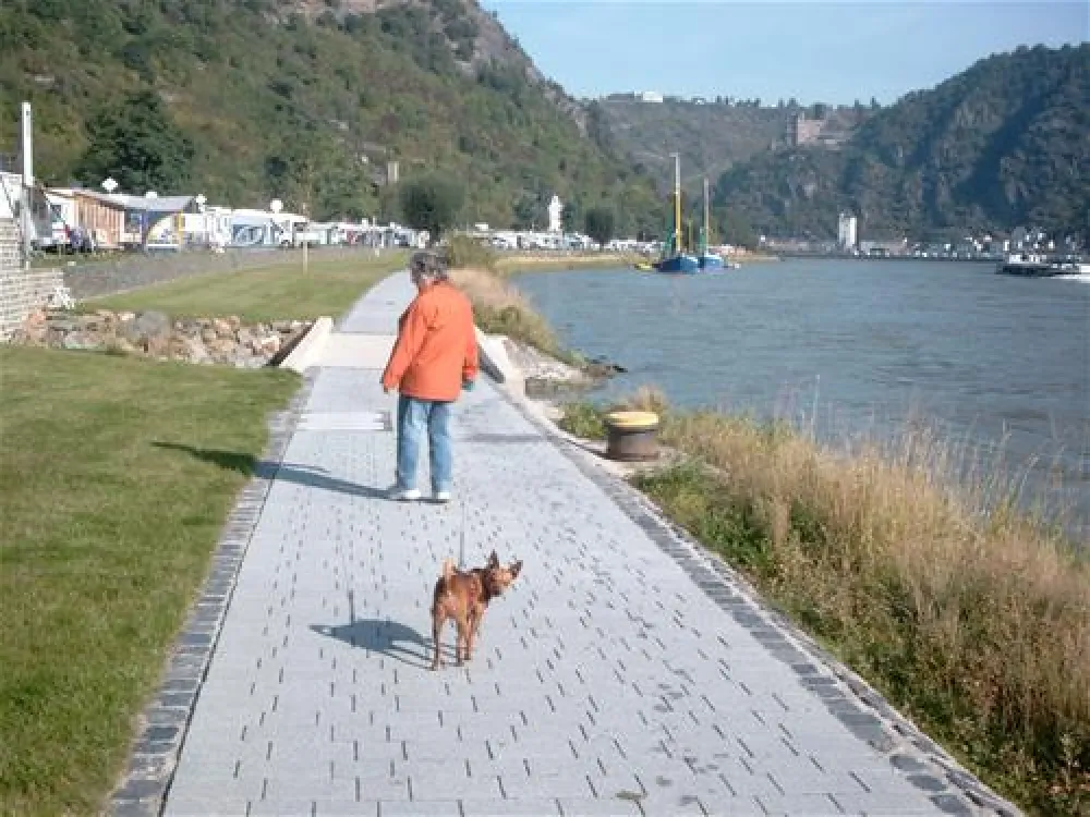 Camping Loreleyblick