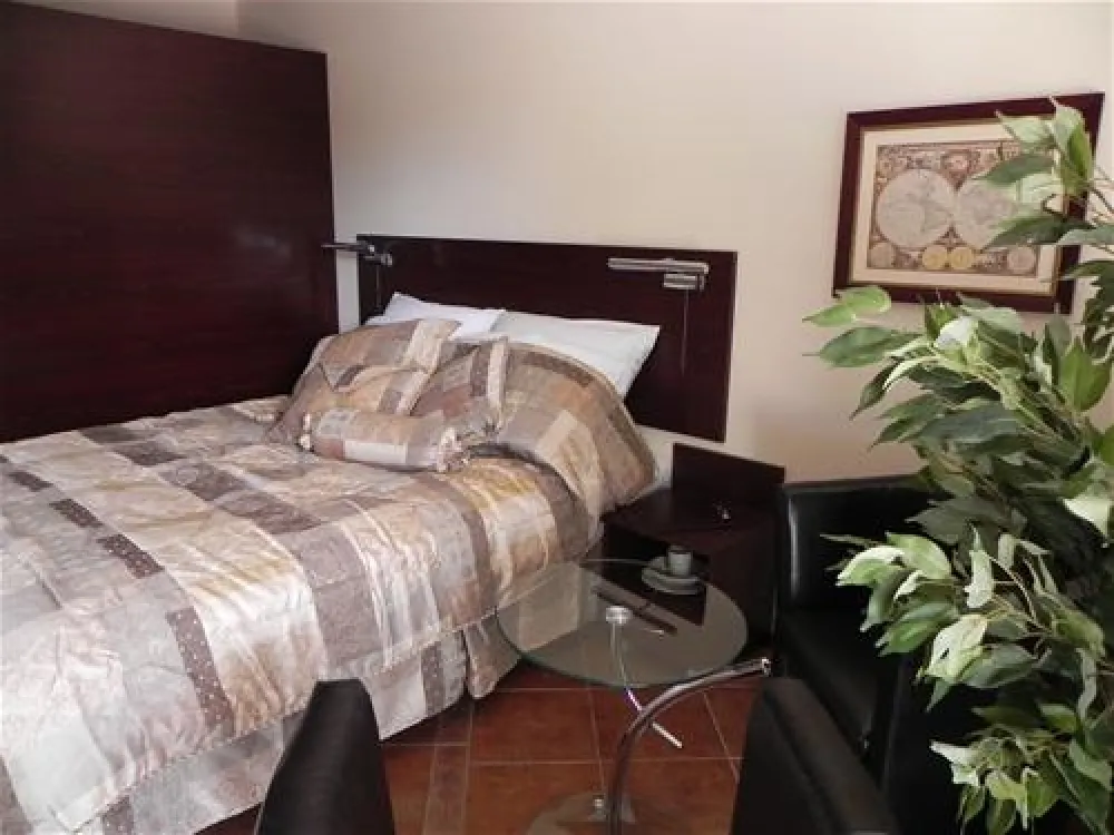 Camping WOK Warszawa