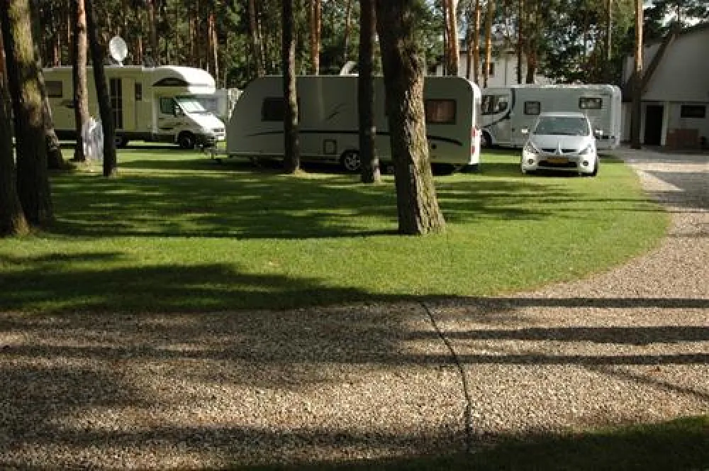 Camping WOK Warszawa