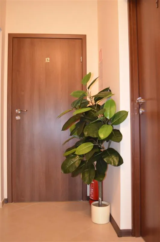 Camping WOK Warszawa