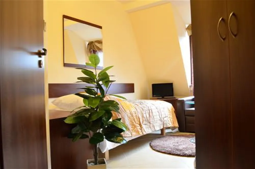 Camping WOK Warszawa