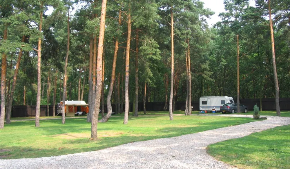 Camping WOK Warszawa