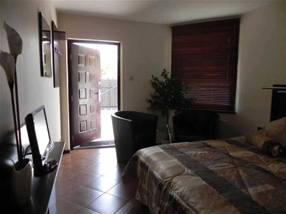 Camping WOK Warszawa