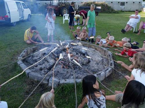 Campsite Ulbjerg in Denmark - Photo 2