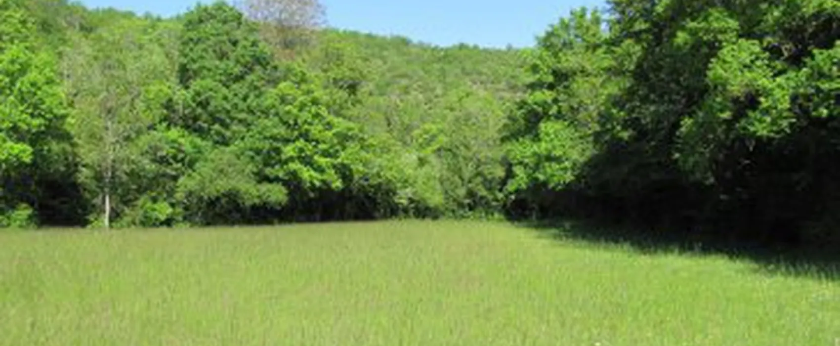 Camping Naturiste du Pas de Ceilhes