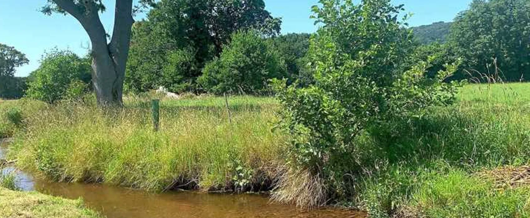 Porlock Vale Campsite