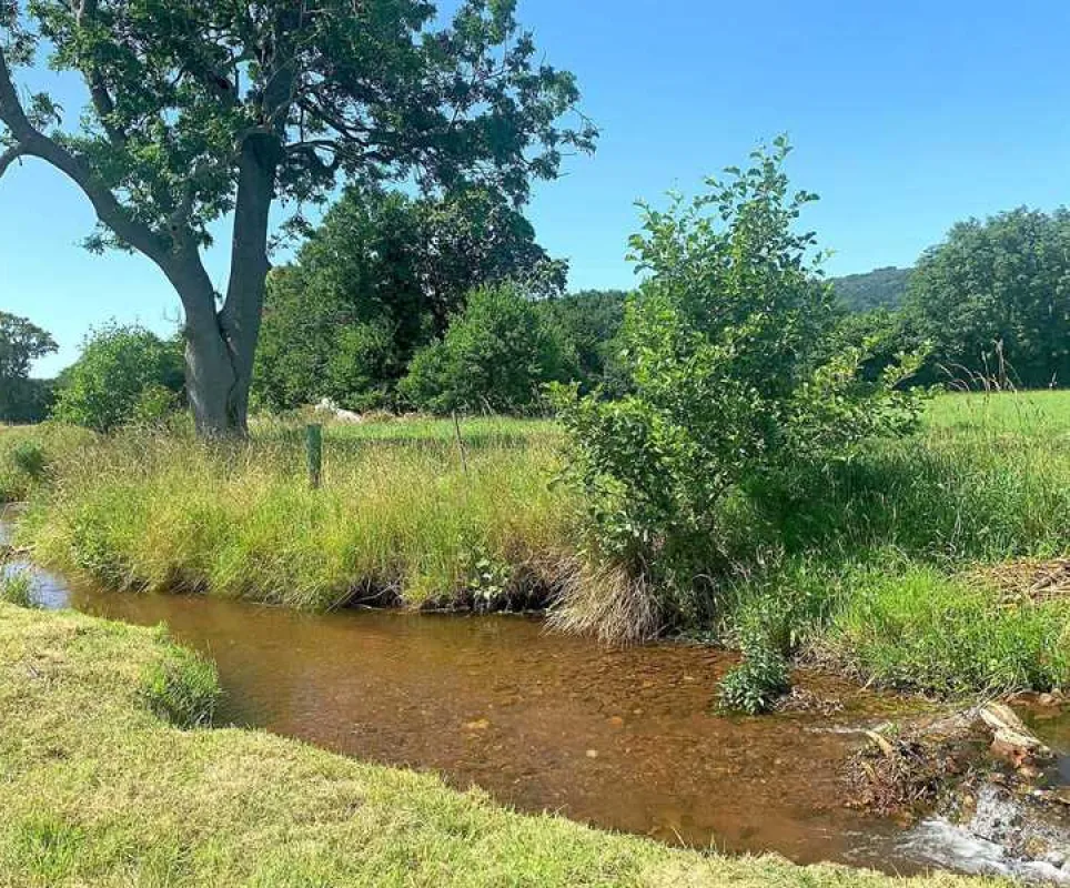 Porlock Vale Campsite