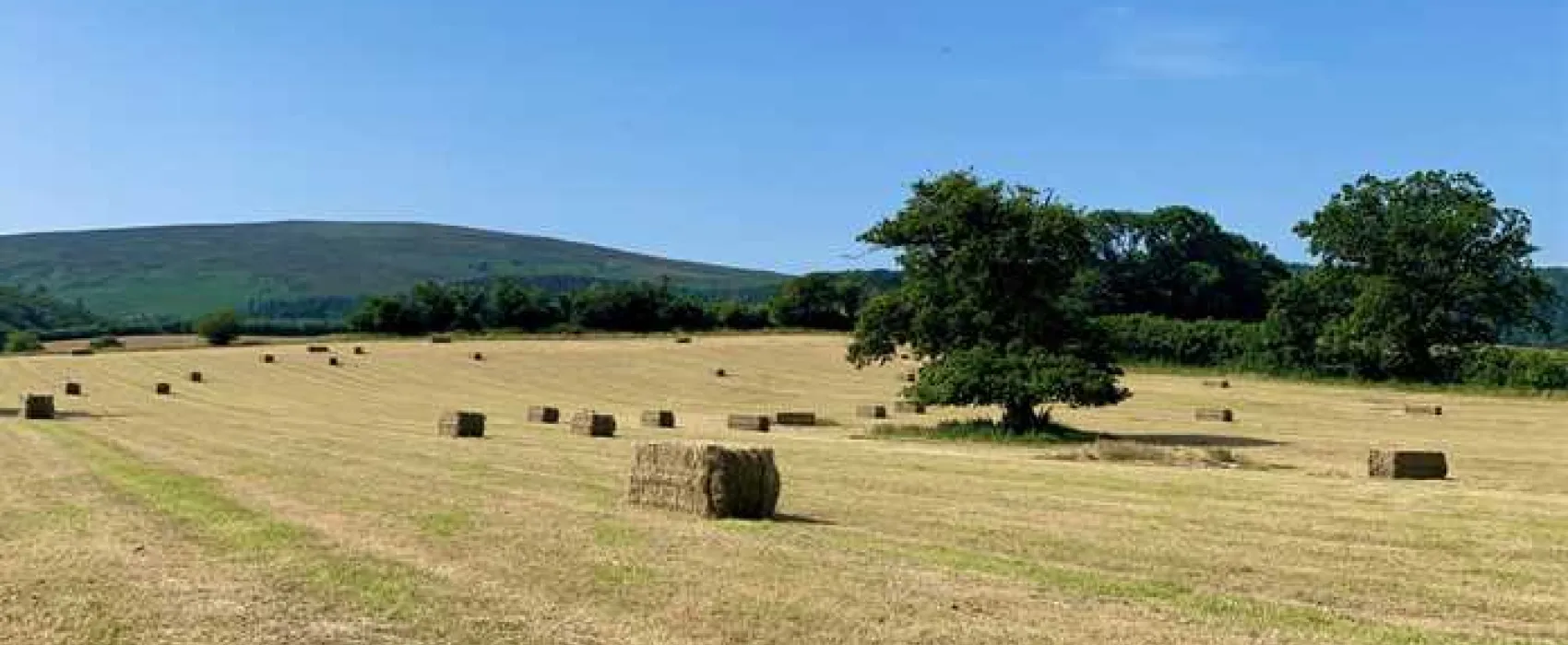 Porlock Vale Campsite