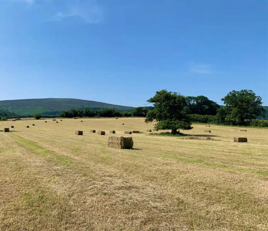 Porlock Vale Campsite