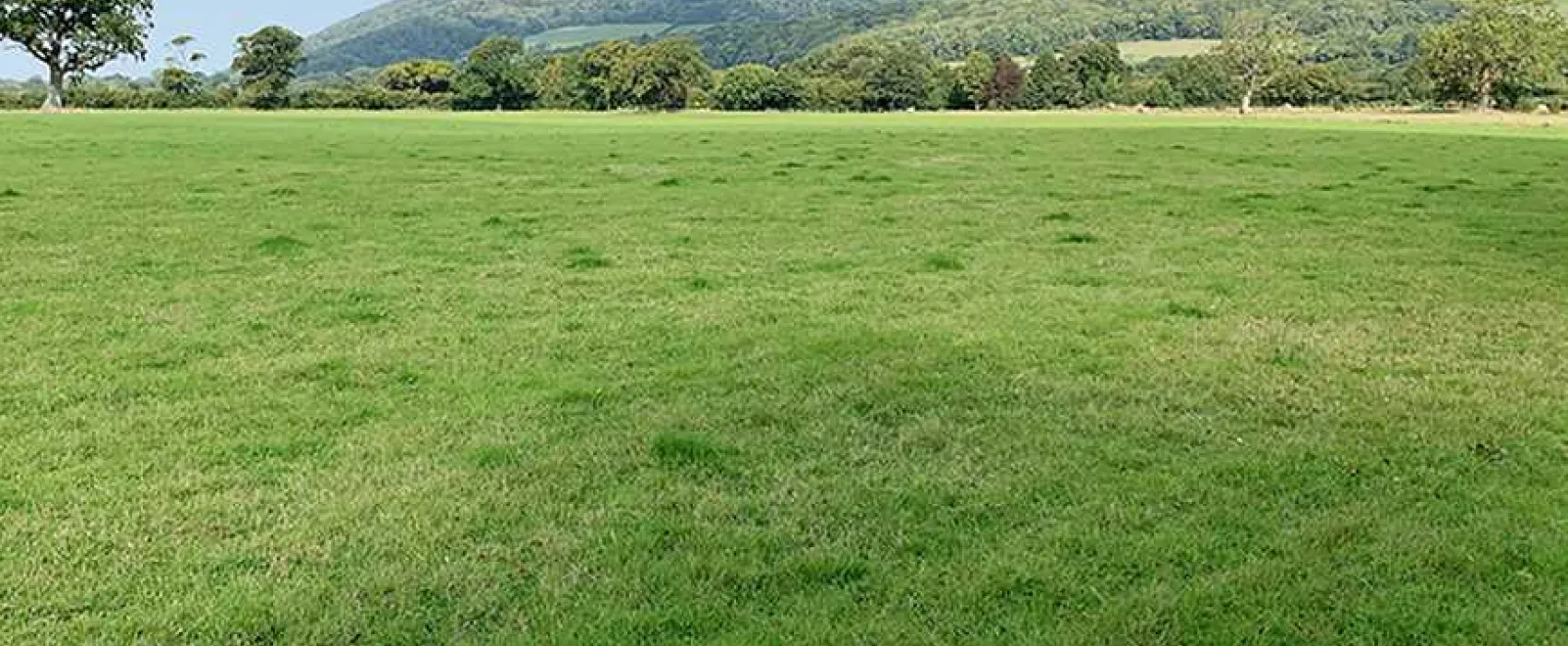Porlock Vale Campsite