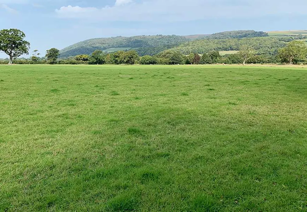 Porlock Vale Campsite