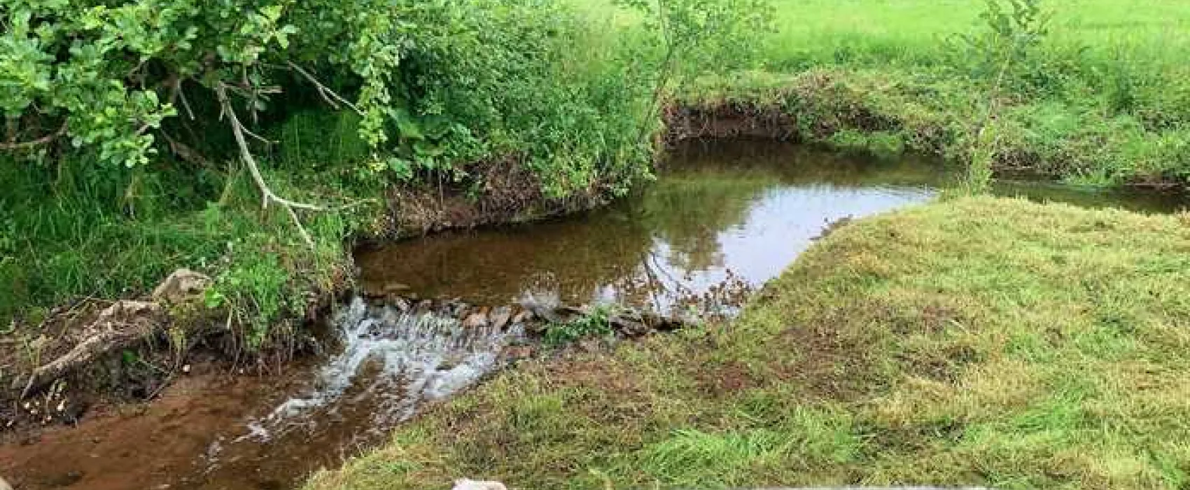 Porlock Vale Campsite