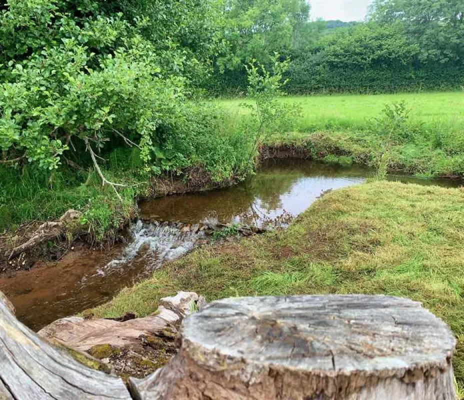 Porlock Vale Campsite