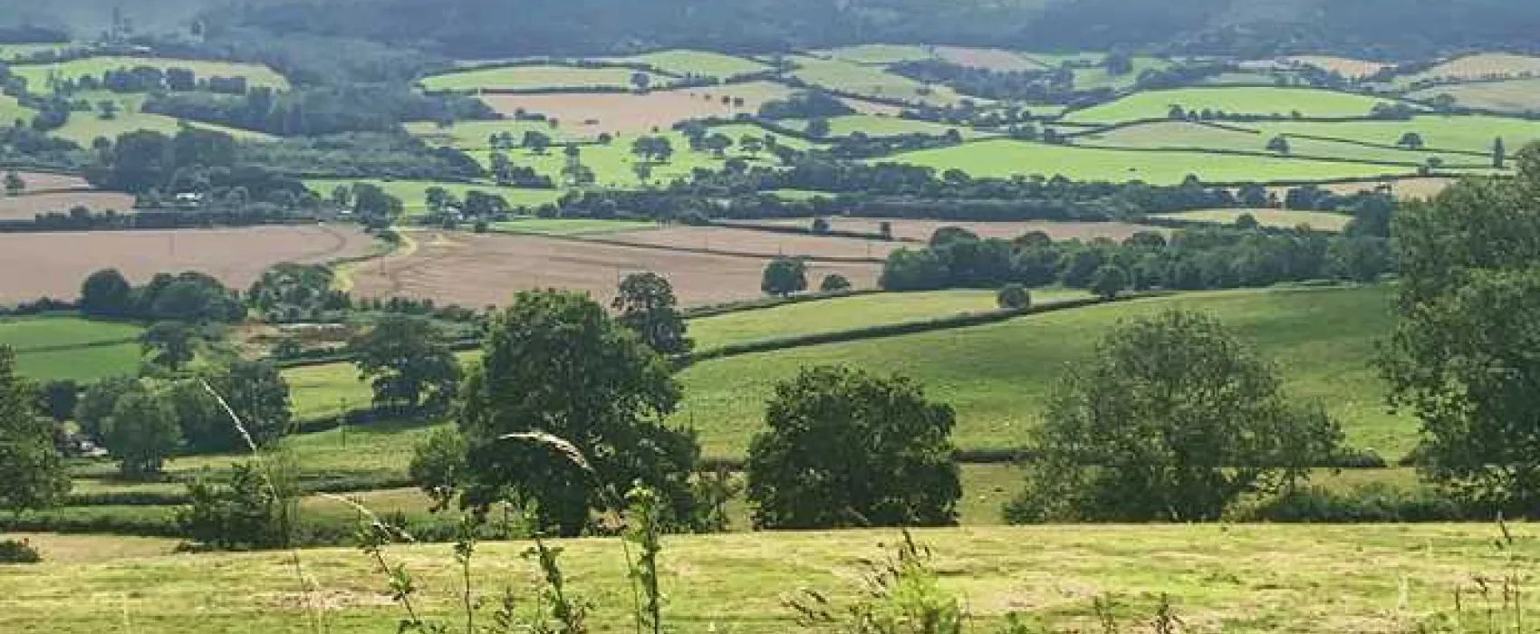 Porlock Vale Campsite