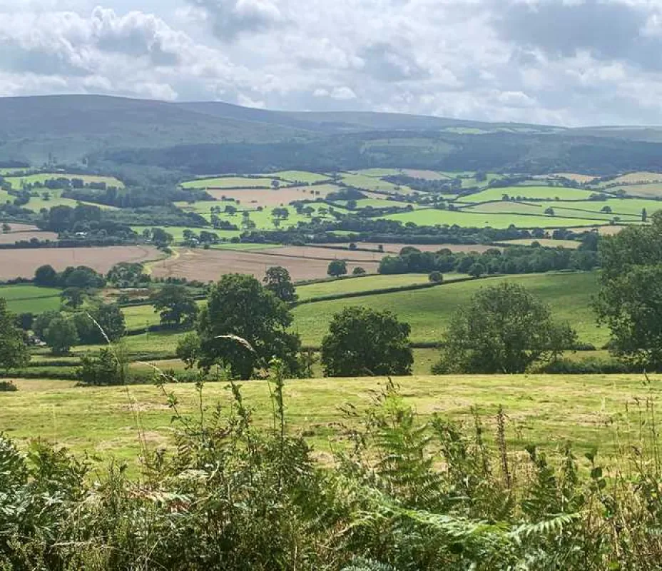Porlock Vale Campsite