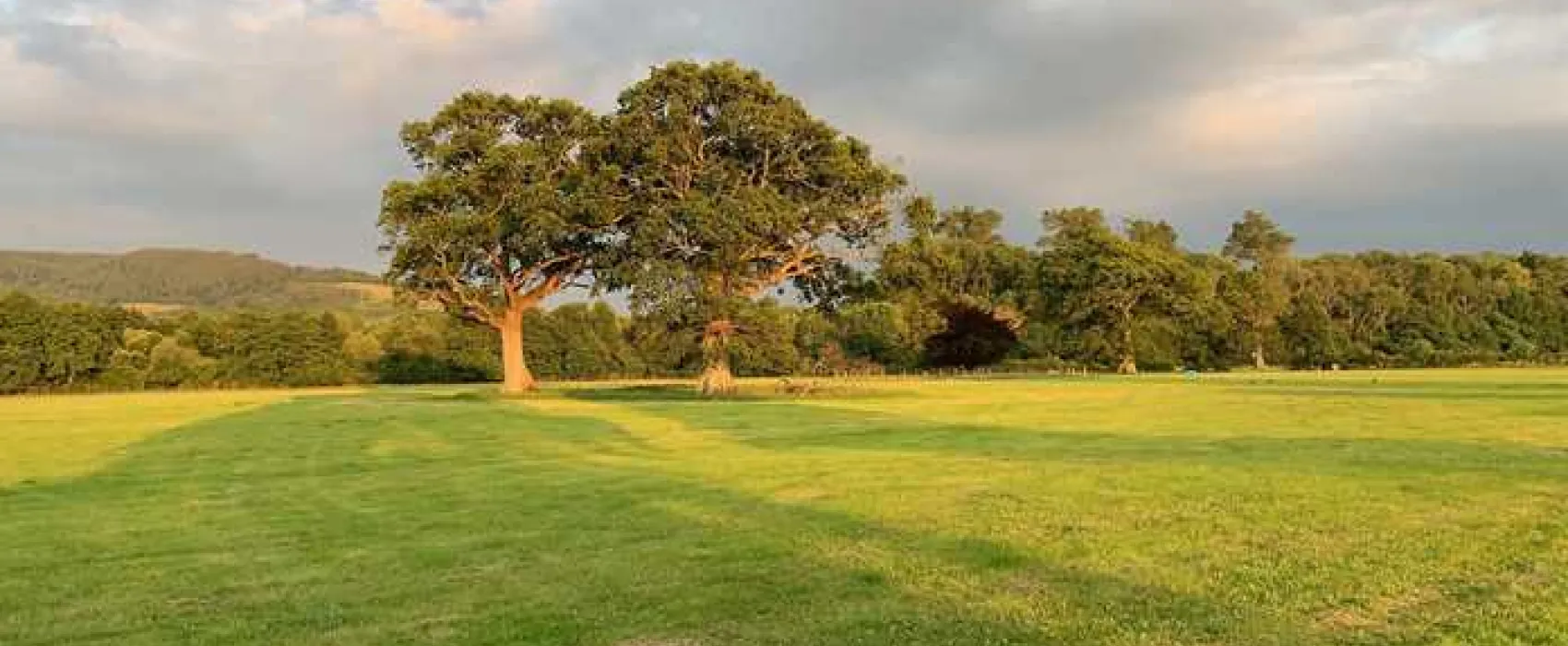 Porlock Vale Campsite
