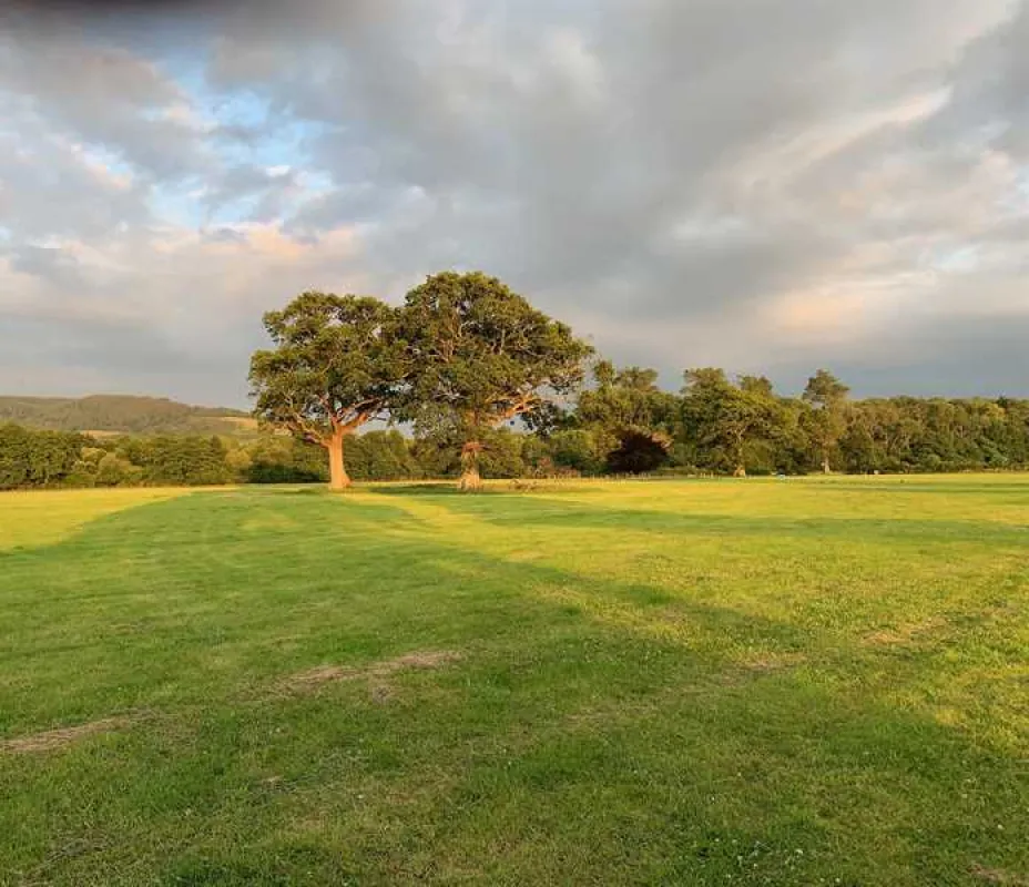 Porlock Vale Campsite