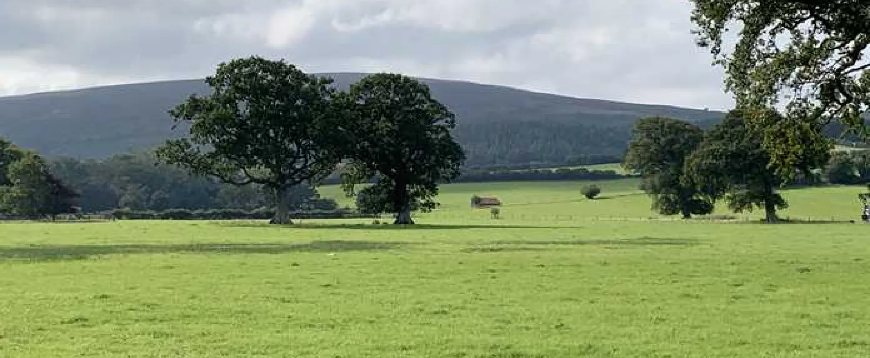 Porlock Vale Campsite