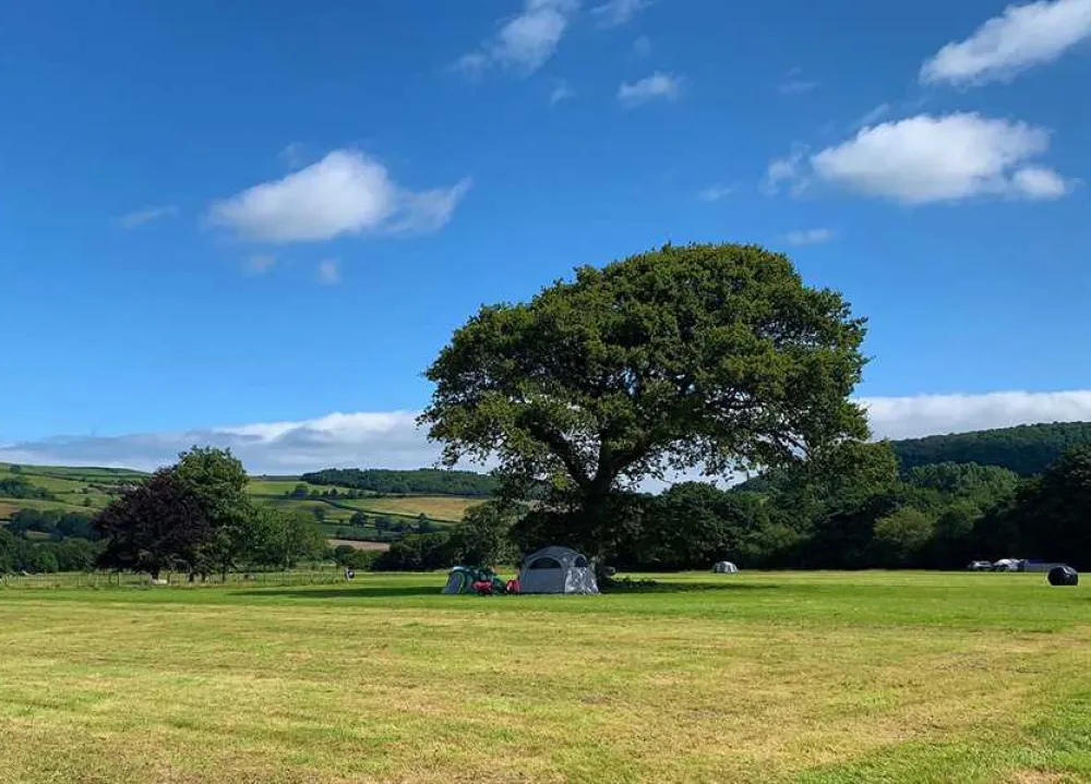 Porlock Vale Campsite