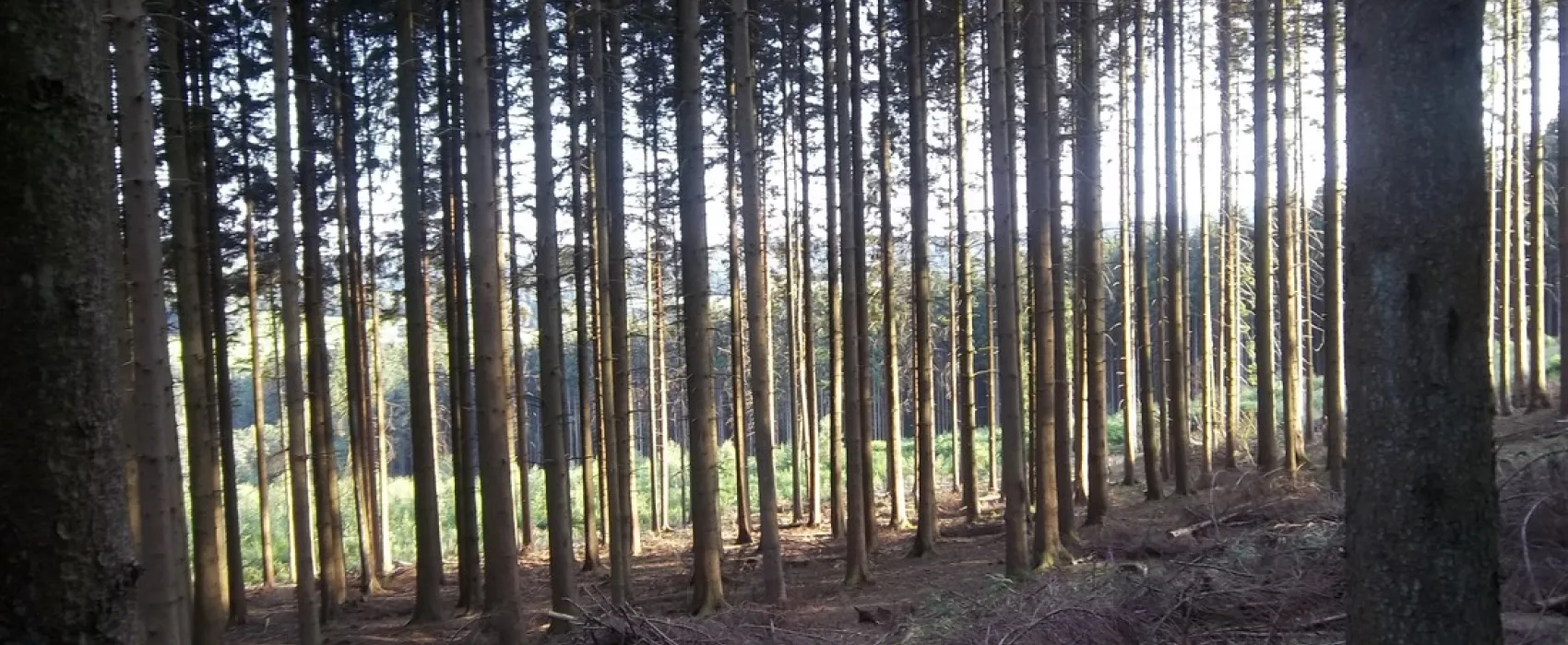 Eurocamping Lamormenil