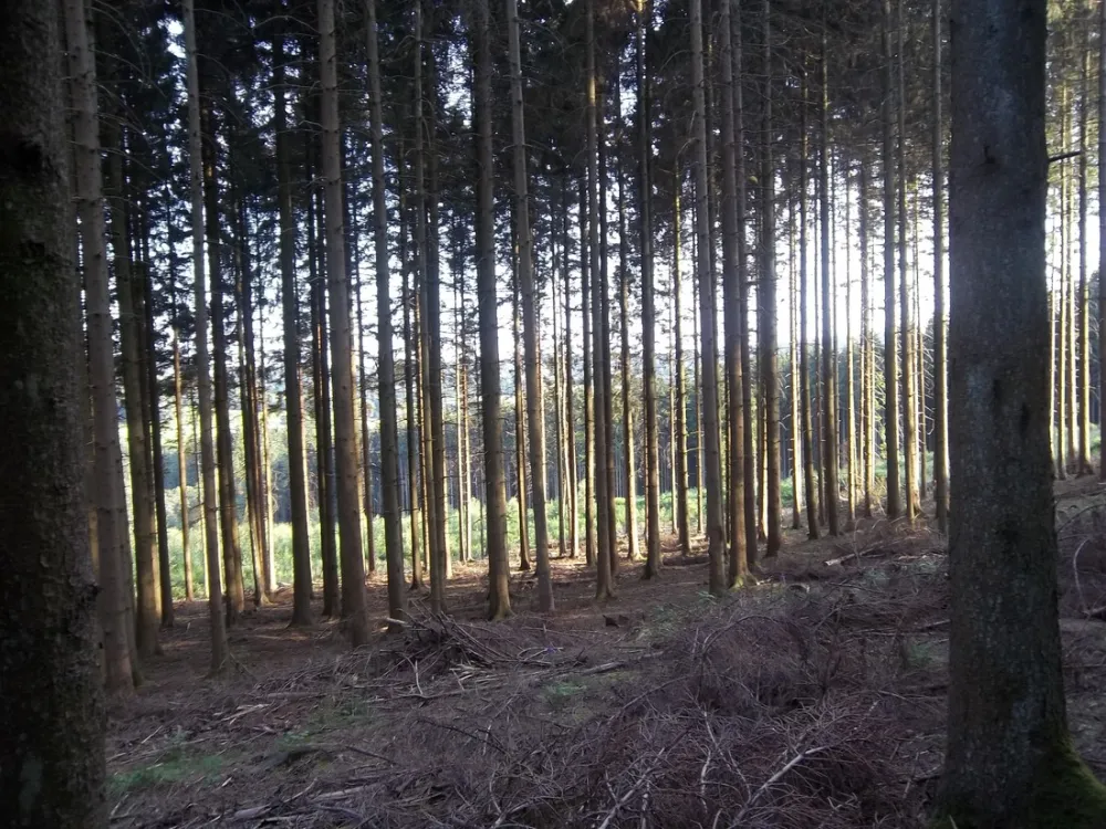 Eurocamping Lamormenil