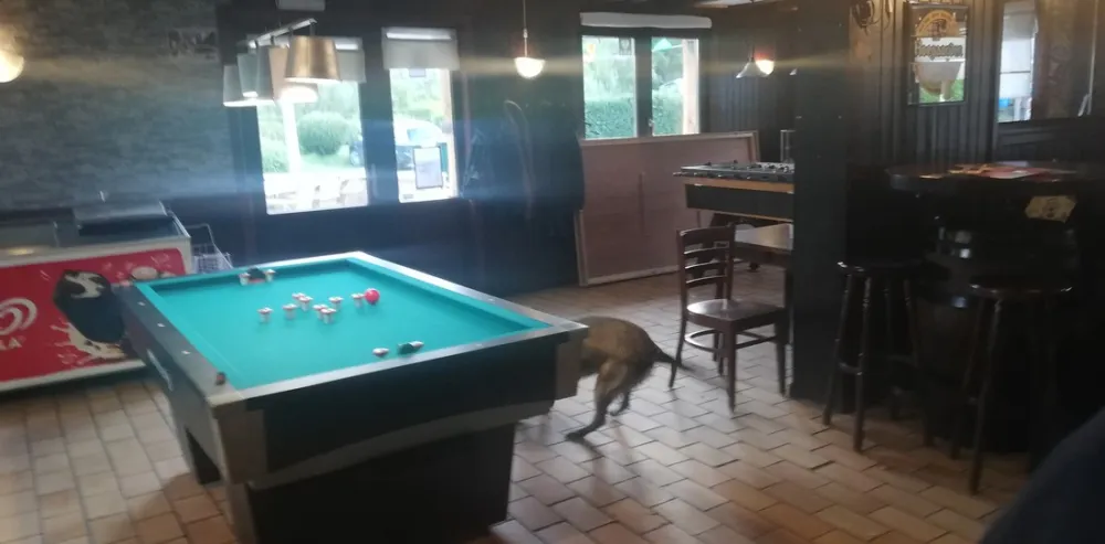 Eurocamping Lamormenil