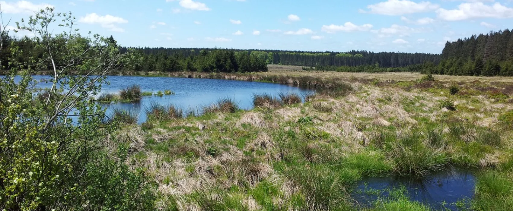 Eurocamping Lamormenil