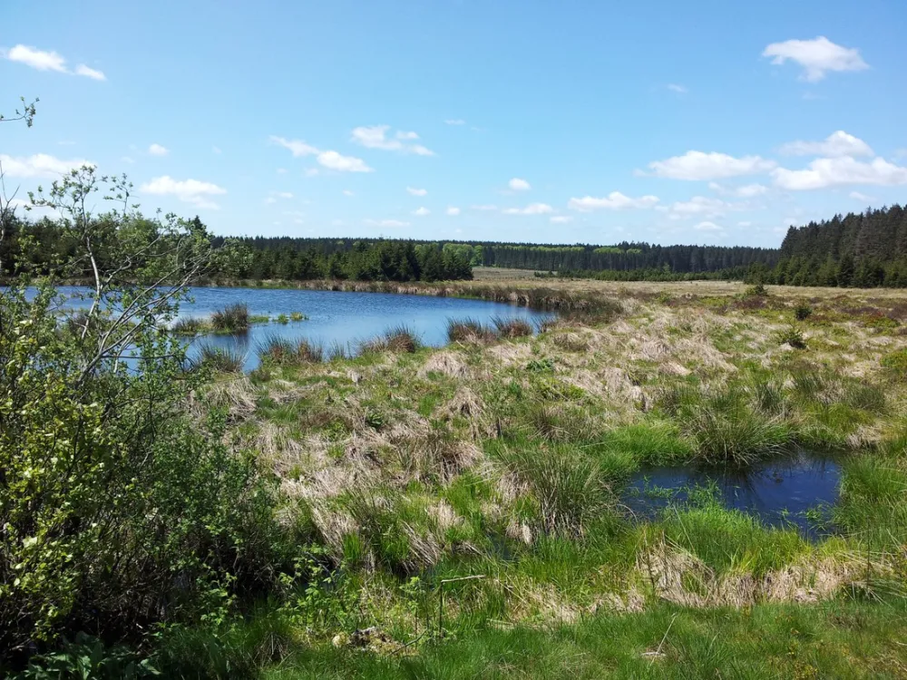 Eurocamping Lamormenil