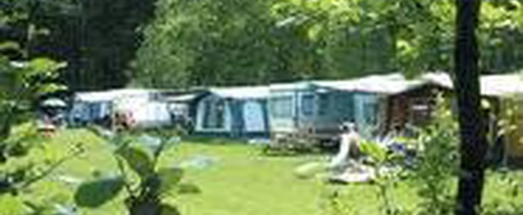 Camping 't Wisentbos