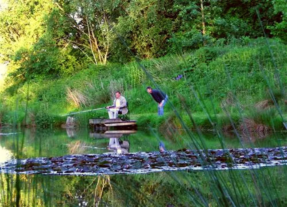 The Old Oaks Touring Park